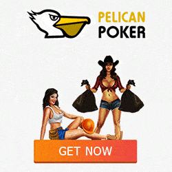 Pelican casino register